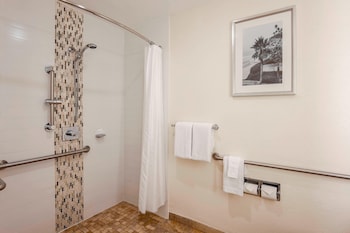 Room, Multiple Beds (Mobility/Hearing Access, Roll-In Shwr)