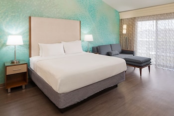 Room, 1 King Bed with Sofa bed (Mobility/Hearing Access, Roll-In Shwr)