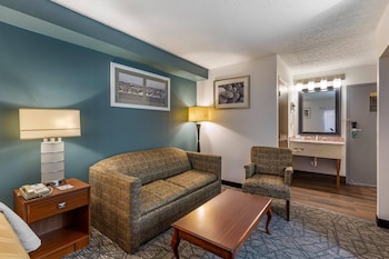 Standard Room, 1 King Bed with Sofa bed, Non Smoking (2 Person Sofabed)