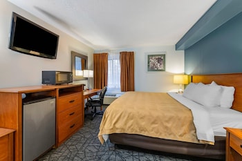 Standard Room, 1 King Bed, Non Smoking