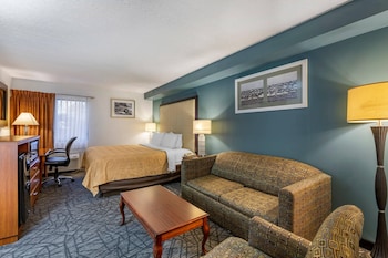 Standard Room, 1 King Bed with Sofa bed, Non Smoking (2 Person Sofabed)