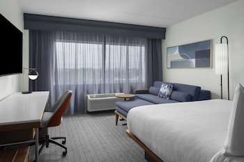 Room, 1 King Bed