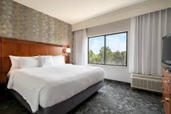 Room, 1 King Bed