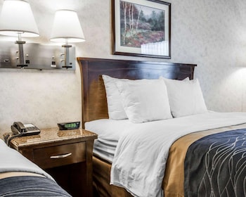 Standard Room, 2 Queen Beds, Non Smoking