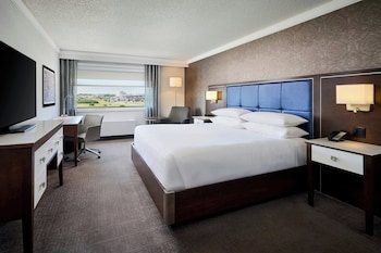 Room, 1 King Bed