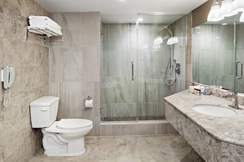 Junior Suite, 1 Bedroom