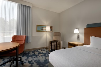 Room, 1 King Bed, Accessible, Bathtub (Mobility & Hearing)