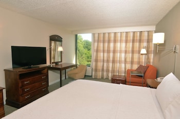Room, 1 King Bed, Non Smoking