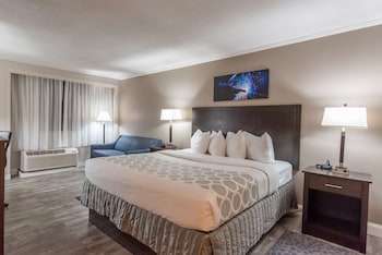 Standard Room, 1 King Bed, Refrigerator & Microwave, Pool View (with Sofabed)