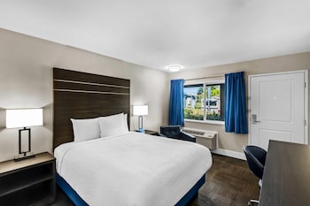 Room, 1 Queen Bed, Accessible, Non Smoking (Mobility/Hearing, Roll-In Shower)