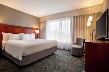 Room, 1 King Bed with Sofa bed