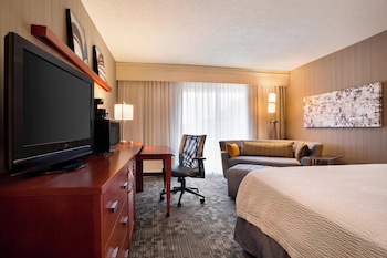 Room, 1 King Bed with Sofa bed