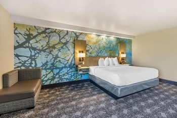 Room, 1 King Bed, Accessible, Non Smoking