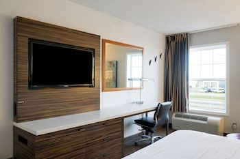 Room, 1 King Bed
