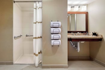 Suite, 1 Bedroom (Mobility Accessible, Roll-In Shower)
