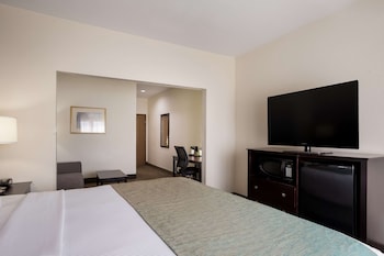 Suite, 1 King Bed, Non Smoking, Refrigerator & Microwave (with Sofabed)