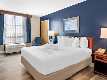 Standard Room, 1 King Bed, Non Smoking, Refrigerator