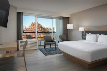 Room, 1 King Bed, Balcony