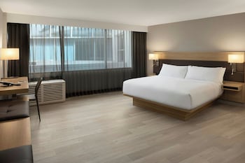 Studio, 1 King Bed