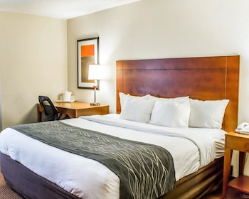 Room, 1 King Bed, Accessible, Non Smoking