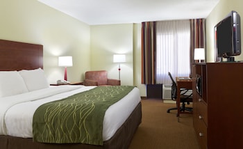 Standard Room, 1 King Bed, Non Smoking