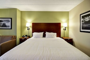 Room, 1 King Bed with Sofa bed