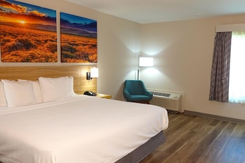 Room, 1 King Bed, Mobility Accessible, Non Smoking (Roll-in Shower)