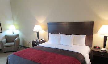 Suite, 1 King Bed with Sofa bed, Non Smoking
