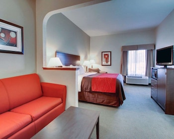 Suite, 1 King Bed with Sofa bed, Non Smoking