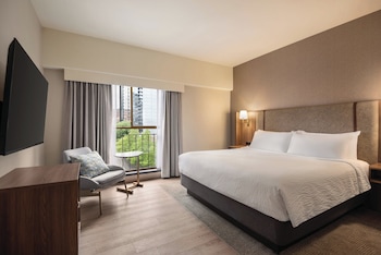 Suite, 1 King Bed