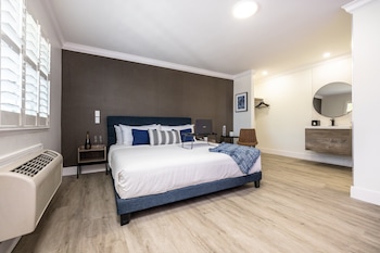 Room, 1 King Bed, Non Smoking, Refrigerator