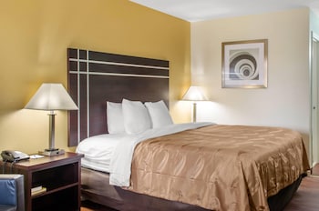 Room, 1 King Bed, Accessible, Smoking