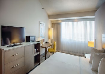 Room, 1 King Bed, Non Smoking, Bathtub