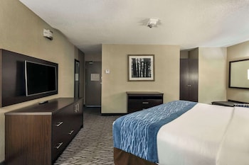 Room, 1 King Bed, Non Smoking (Top Floor, Shower Only)