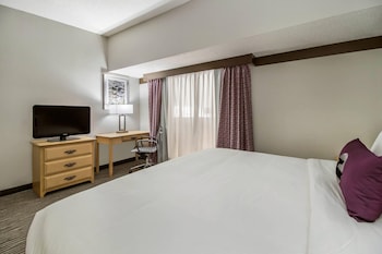 Suite, 1 Kind Bed with Sofa bed, Non Smoking