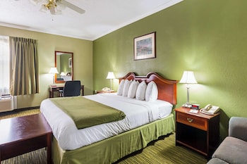 Business Room, 1 King Bed with Sofa bed, Accessible, Non Smoking