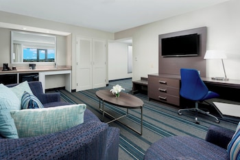 Suite, 1 King Bed with Sofa bed