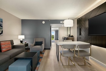 Suite, 1 King Bed, Accessible (Roll-In Shower)