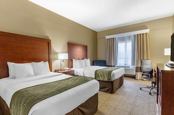 Standard Room, 2 Double Beds, Non Smoking
