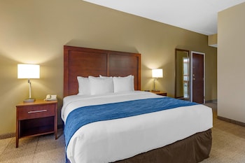 Standard Room, 1 King Bed, Non Smoking