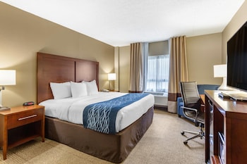 Room, 1 King Bed, Accessible, Non Smoking