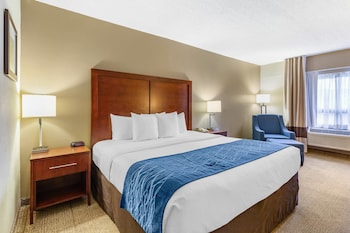 Suite, 1 King Bed, Non Smoking