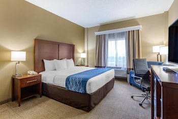 Room, 1 King Bed, Accessible, Non Smoking