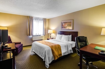 Standard Room, 1 King Bed, Non Smoking (Pet Friendly)