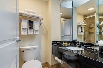 Suite, 1 King Bed, Refrigerator & Microwave