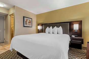 Standard Room, 1 Queen Bed, Refrigerator & Microwave