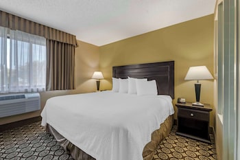 Standard Room, 1 Queen Bed, Refrigerator & Microwave