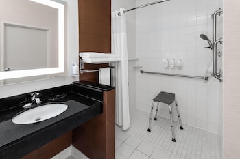 Room, 1 King Bed, Mobility Accessible, Non Smoking (Roll-in Shower)