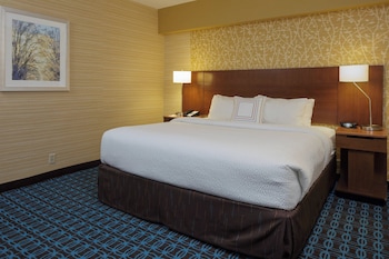 Suite, 1 King Bed with Sofa bed
