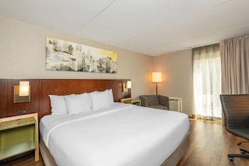 Standard Room, 1 King Bed with Sofa bed, Non Smoking